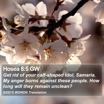 Hosea 8:5 GW Bible Verse Image