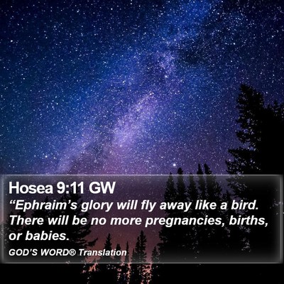Hosea 9:11 GW Bible Verse Image