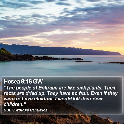 Hosea 9:16 GW Bible Verse Image