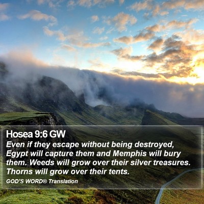 Hosea 9:6 GW Bible Verse Image