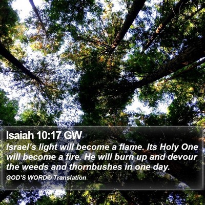 Isaiah 10:17 GW Bible Verse Image