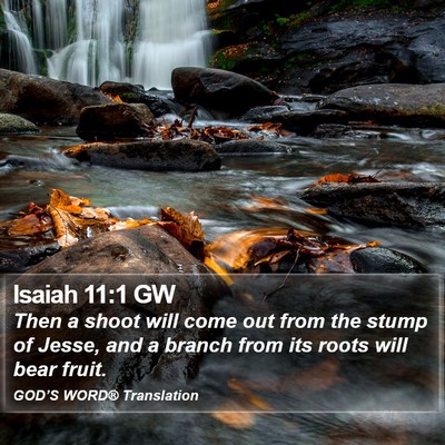 Isaiah 11:1 GW Bible Verse Image