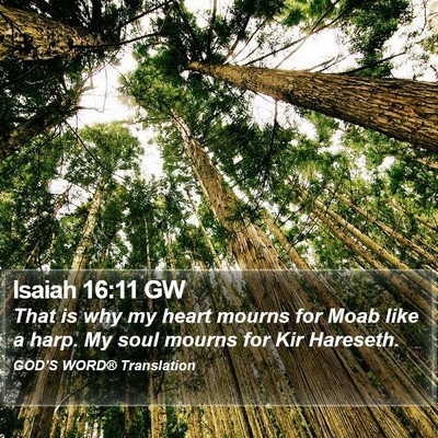 Isaiah 16:11 GW Bible Verse Image