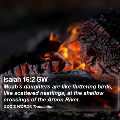 Isaiah 16:2 GW Bible Verse Image