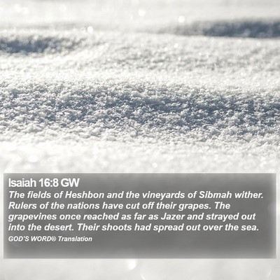 Isaiah 16:8 GW Bible Verse Image