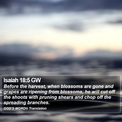 Isaiah 18:5 GW Bible Verse Image