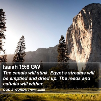 Isaiah 19:6 GW Bible Verse Image