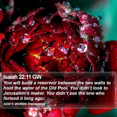 Isaiah 22:11 GW Bible Verse Image