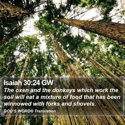 Isaiah 30:24 GW Bible Verse Image