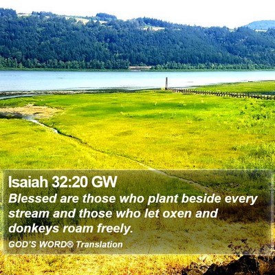 Isaiah 32:20 GW Bible Verse Image
