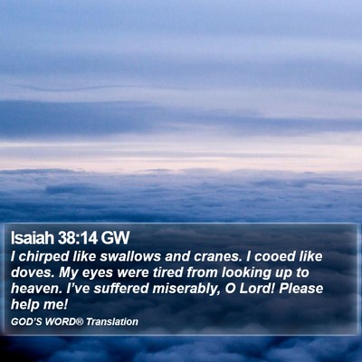 Isaiah 38:14 GW Bible Verse Image