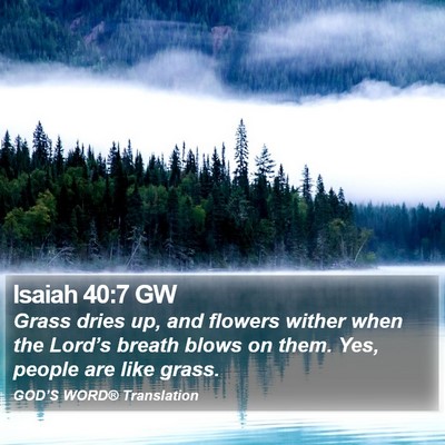 Isaiah 40:7 GW Bible Verse Image