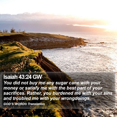 Isaiah 43:24 GW Bible Verse Image