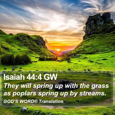 Isaiah 44:4 GW Bible Verse Image