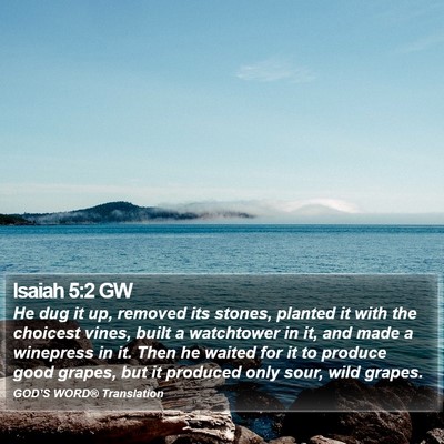 Isaiah 5:2 GW Bible Verse Image
