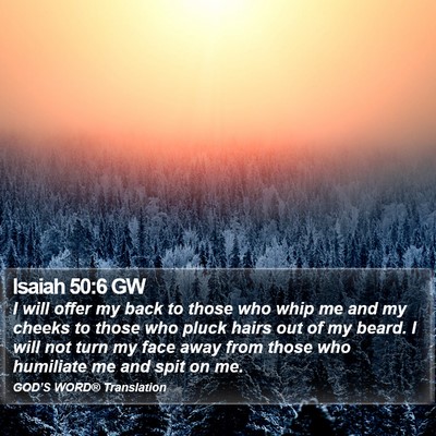 Isaiah 50:6 GW Bible Verse Image