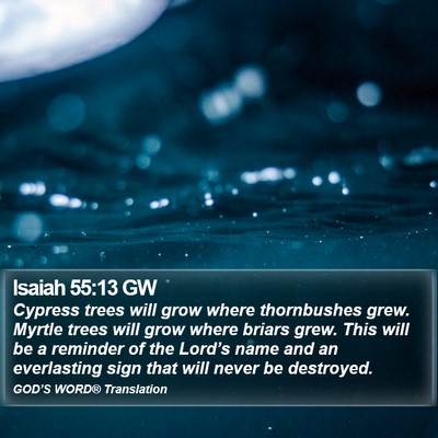 Isaiah 55:13 GW Bible Verse Image