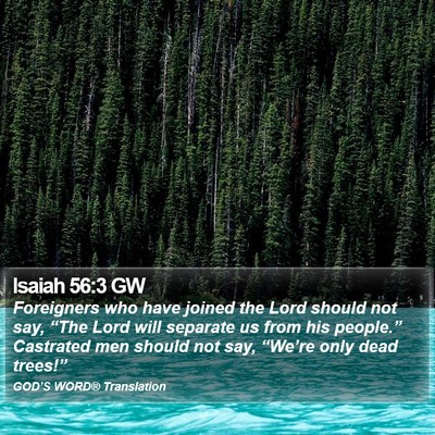 Isaiah 56:3 GW Bible Verse Image