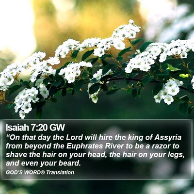 Isaiah 7:20 GW Bible Verse Image