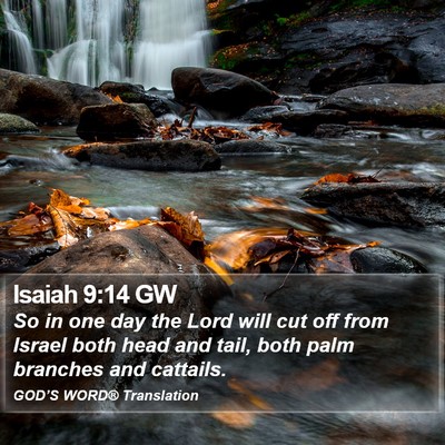 Isaiah 9:14 GW Bible Verse Image