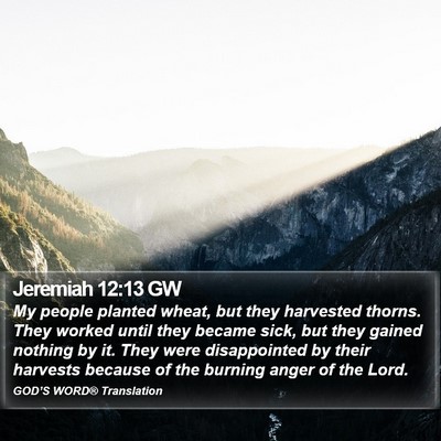 Jeremiah 12:13 GW Bible Verse Image
