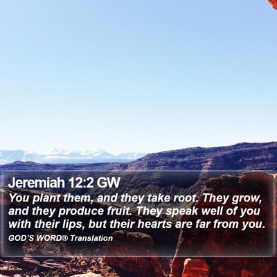 Jeremiah 12:2 GW Bible Verse Image