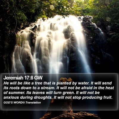 Jeremiah 17:8 GW Bible Verse Image