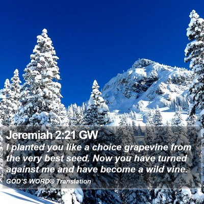 Jeremiah 2:21 GW Bible Verse Image