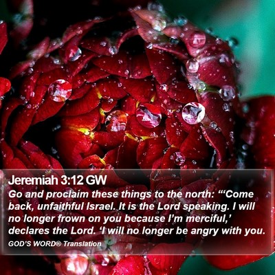 Jeremiah 3:12 GW Bible Verse Image