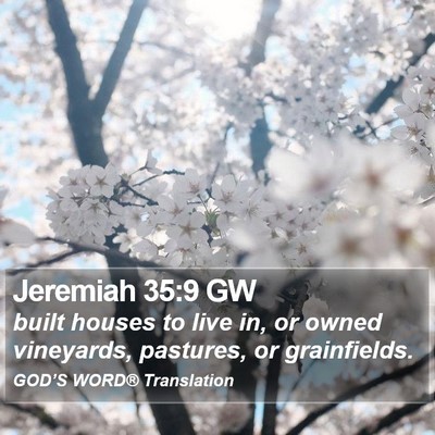 Jeremiah 35:9 GW Bible Verse Image