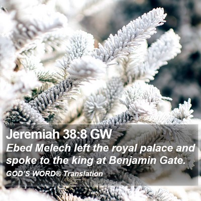 Jeremiah 38:8 GW Bible Verse Image