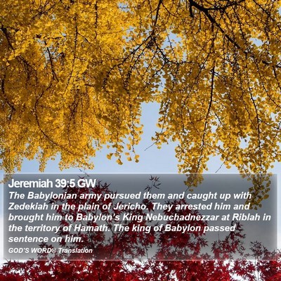 Jeremiah 39:5 GW Bible Verse Image