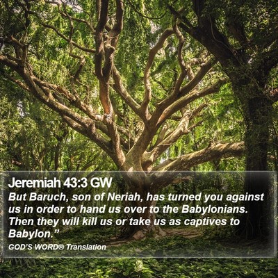 Jeremiah 43:3 GW Bible Verse Image