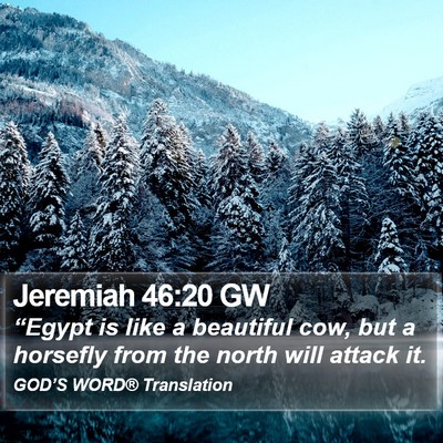 Jeremiah 46:20 GW Bible Verse Image