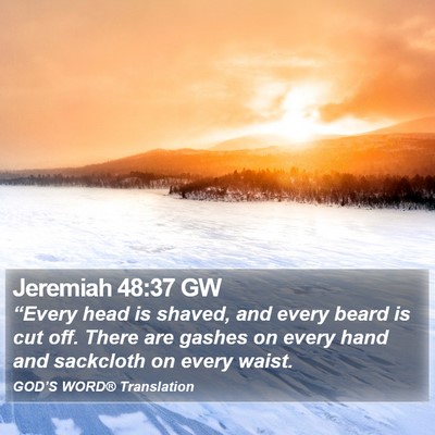 Jeremiah 48:37 GW Bible Verse Image
