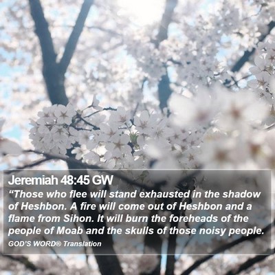 Jeremiah 48:45 GW Bible Verse Image