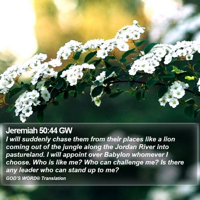 Jeremiah 50:44 GW Bible Verse Image