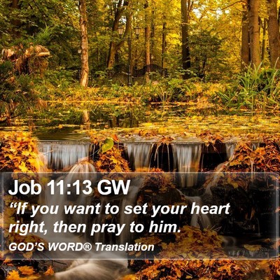 Job 11:13 GW Bible Verse Image