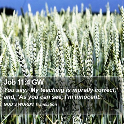 Job 11:4 GW Bible Verse Image