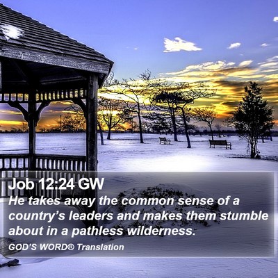 Job 12:24 GW Bible Verse Image