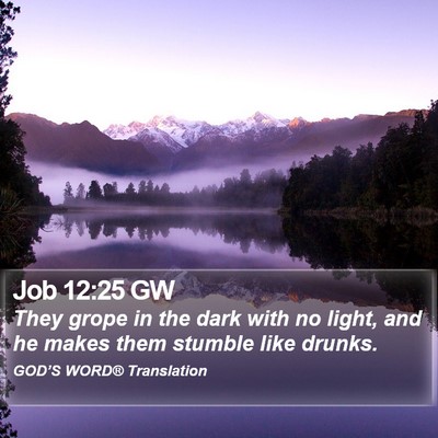 Job 12:25 GW Bible Verse Image