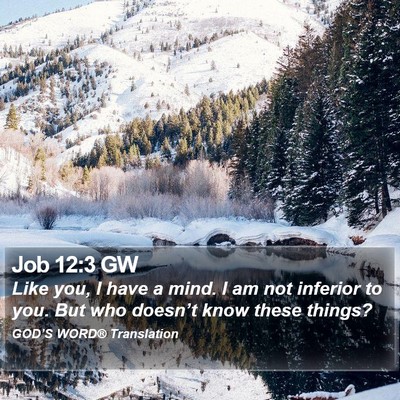 Job 12:3 GW Bible Verse Image