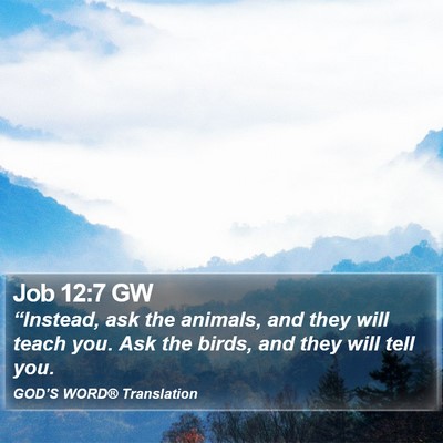 Job 12:7 GW Bible Verse Image