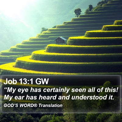 Job 13:1 GW Bible Verse Image
