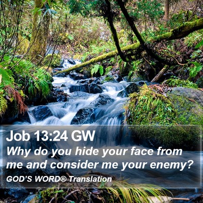Job 13:24 GW Bible Verse Image