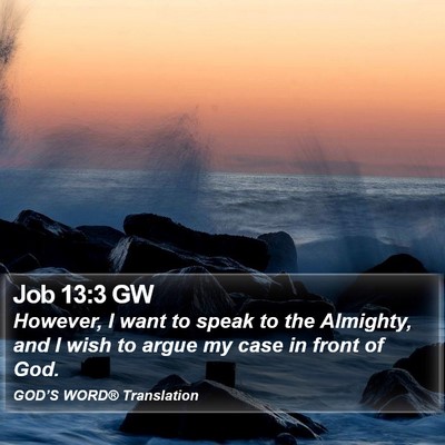 Job 13:3 GW Bible Verse Image