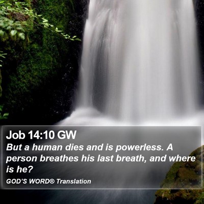 Job 14:10 GW Bible Verse Image