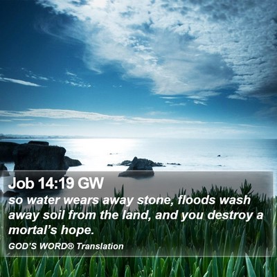 Job 14:19 GW Bible Verse Image