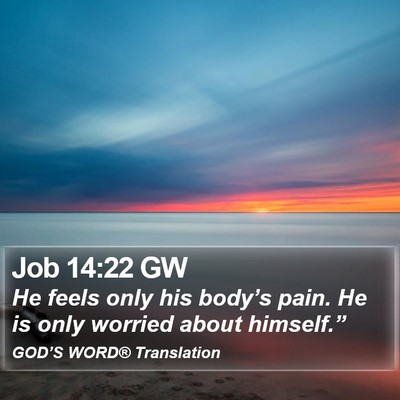 Job 14:22 GW Bible Verse Image