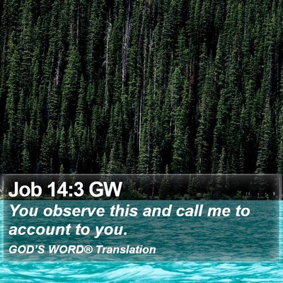 Job 14:3 GW Bible Verse Image